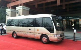 丰田考斯特20座价格，丰田考斯特20座价格及图片